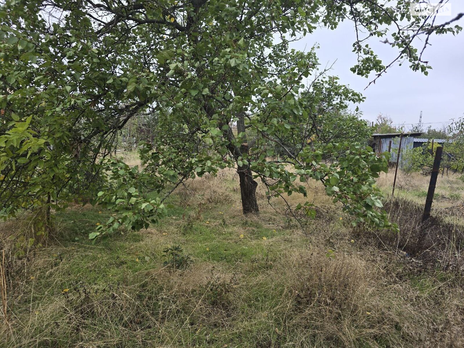 Земля под жилую застройку в Николаеве, район Широкая Балка, площадь 13.42 сотки фото 1