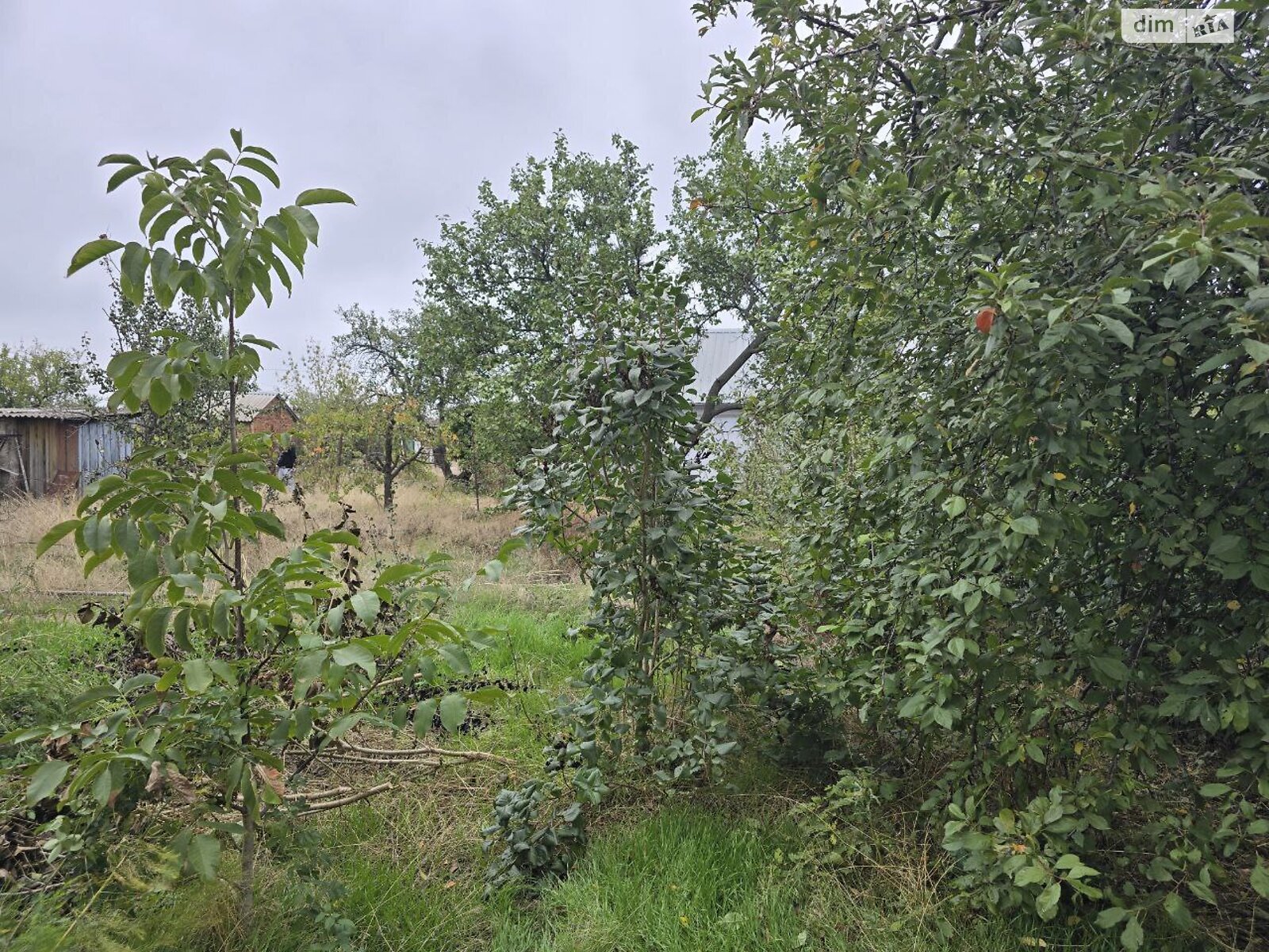 Земля под жилую застройку в Николаеве, район Широкая Балка, площадь 13.42 сотки фото 1