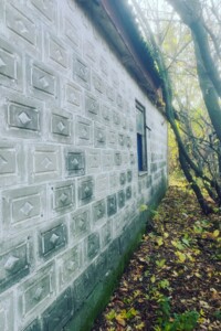 Земельный участок под жилую застройку в Николаевке, площадь 60 соток фото 2