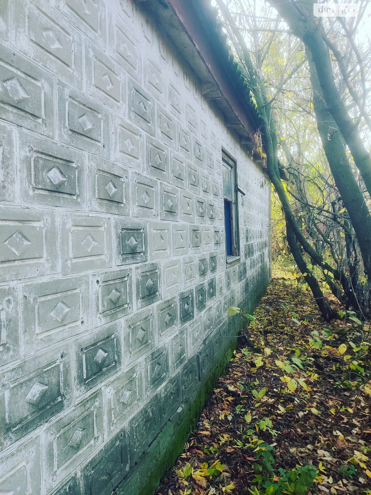 Земельный участок под жилую застройку в Николаевке, площадь 60 соток фото 1