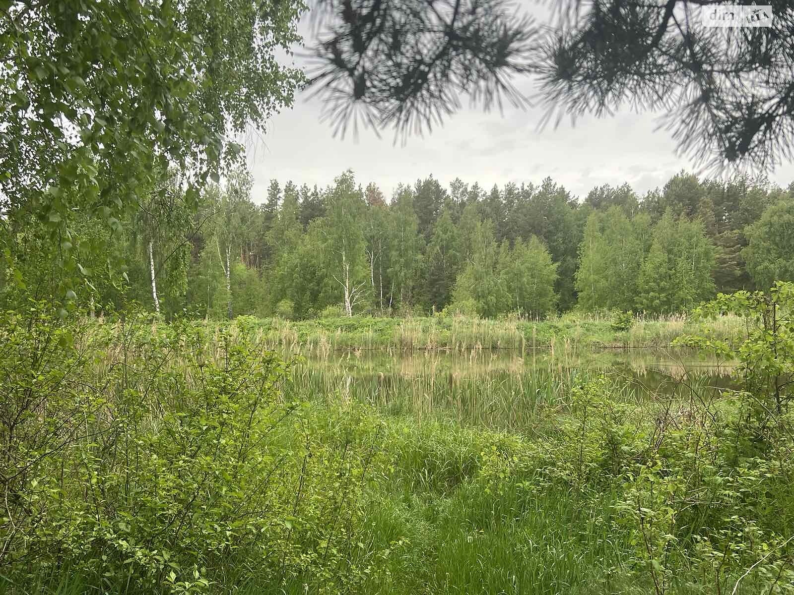 Земельна ділянка під житлову забудову в Миколаївці, площа 6 соток фото 1 Земельна ділянка під житлову забудову в Миколаївці, площа 6 соток фото 1