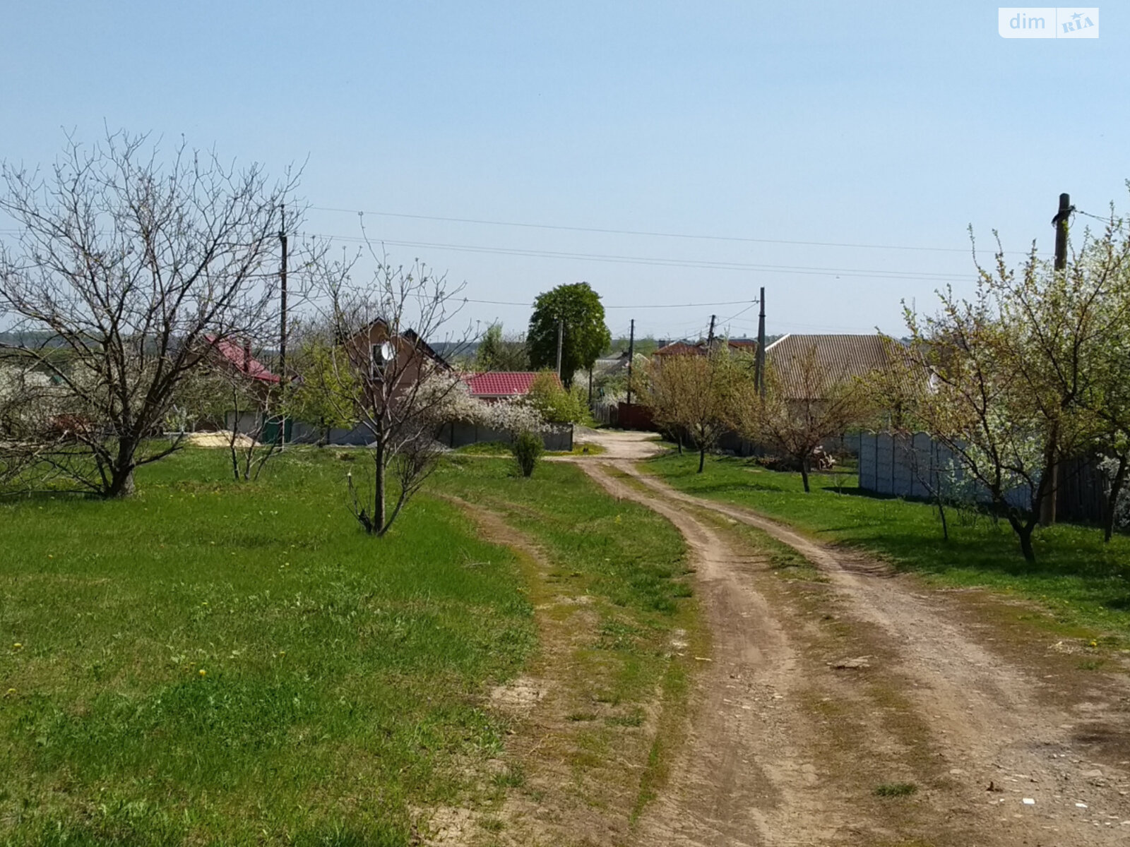 Земельна ділянка під житлову забудову в Новій Березівці, площа 14.5 сотки фото 1 Земельна ділянка під житлову забудову в Новій Березівці, площа 14.5 сотки фото 1