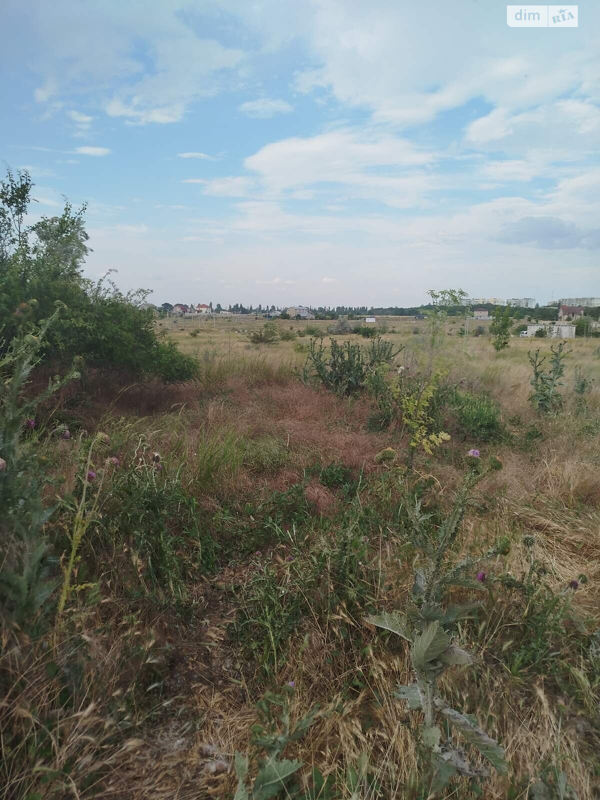 Земельный участок под жилую застройку в Новой Дофиновке, площадь 20 соток фото 1 Земельный участок под жилую застройку в Новой Дофиновке, площадь 20 соток фото 1