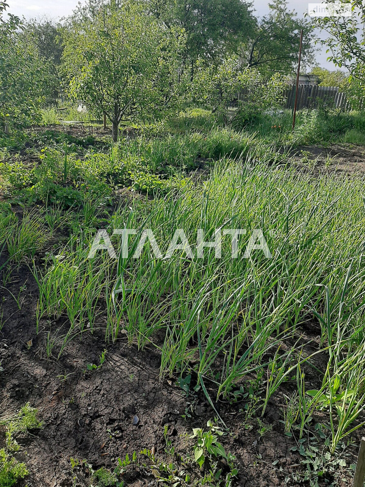 Земельный участок под жилую застройку в Новой Дофиновке, площадь 5 соток фото 1