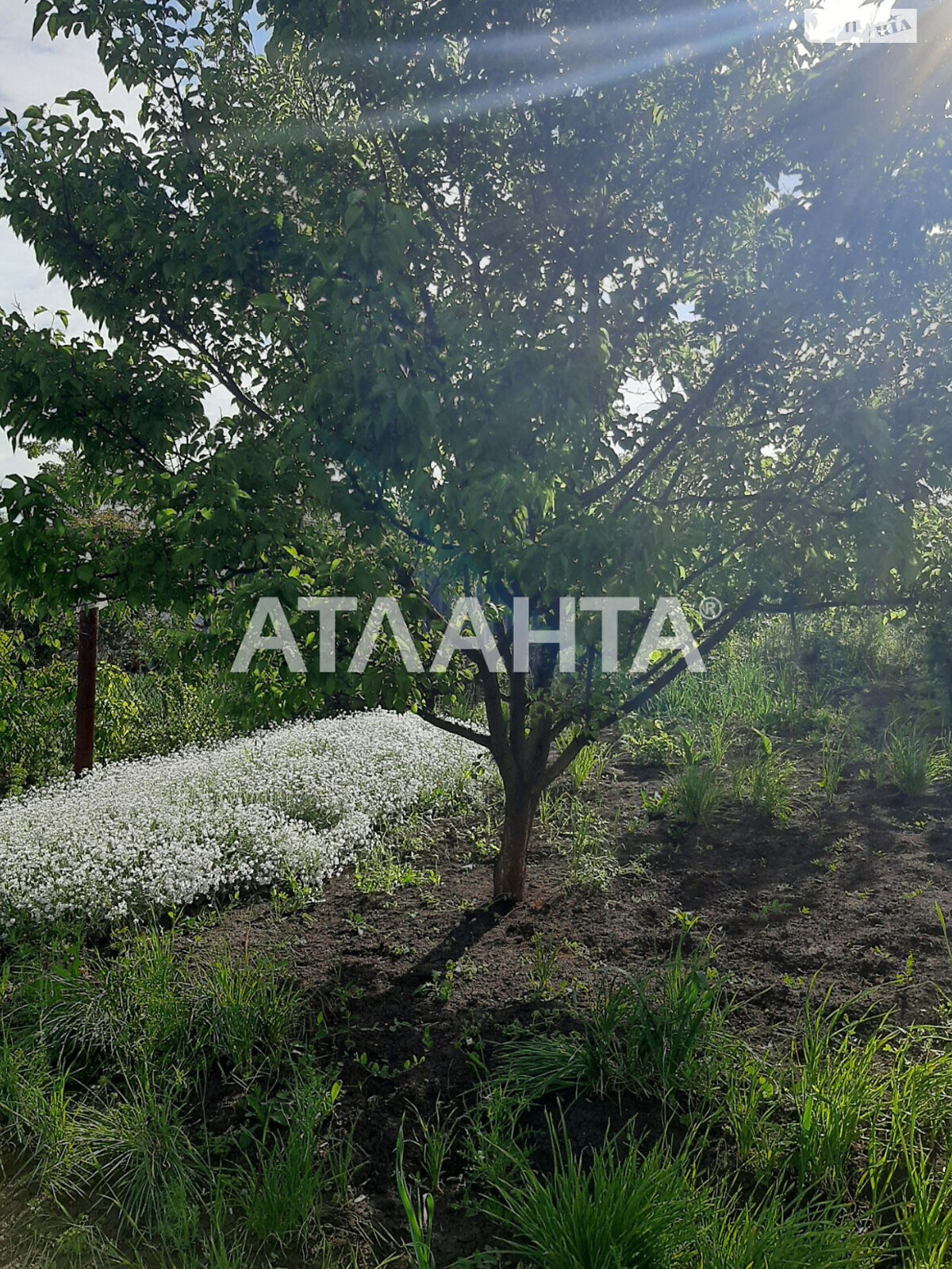 Земельный участок под жилую застройку в Новой Дофиновке, площадь 5 соток фото 1