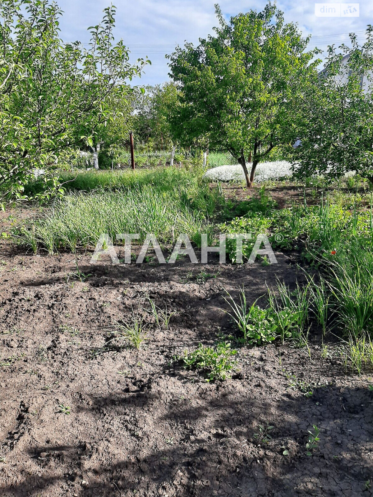 Земельный участок под жилую застройку в Новой Дофиновке, площадь 5 соток фото 1