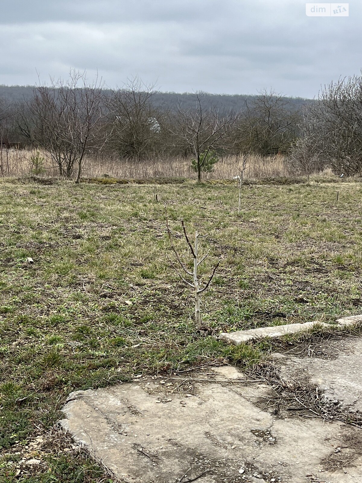 Земельна ділянка під житлову забудову в Новій Ушиці, площа 7 соток фото 1