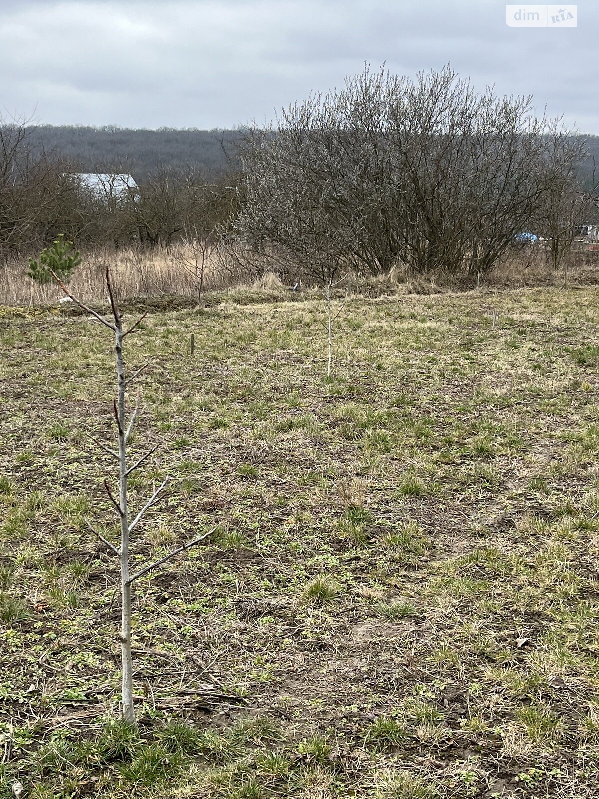 Земельный участок под жилую застройку в Новой Ушице, площадь 7 соток фото 1