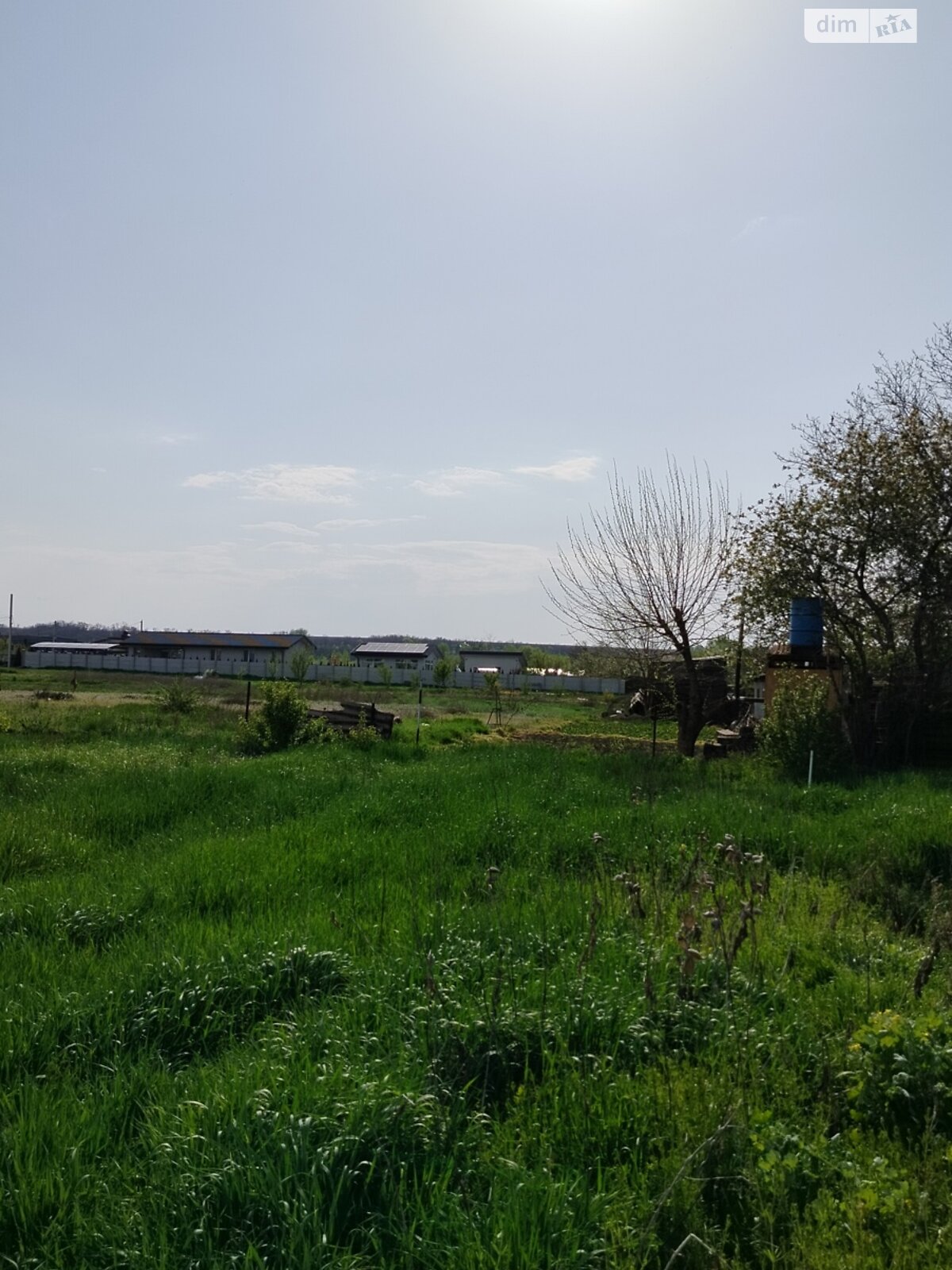 Земельна ділянка під житлову забудову в Новоолександрівці, площа 0.583 Га фото 1 Земельна ділянка під житлову забудову в Новоолександрівці, площа 0.583 Га фото 1