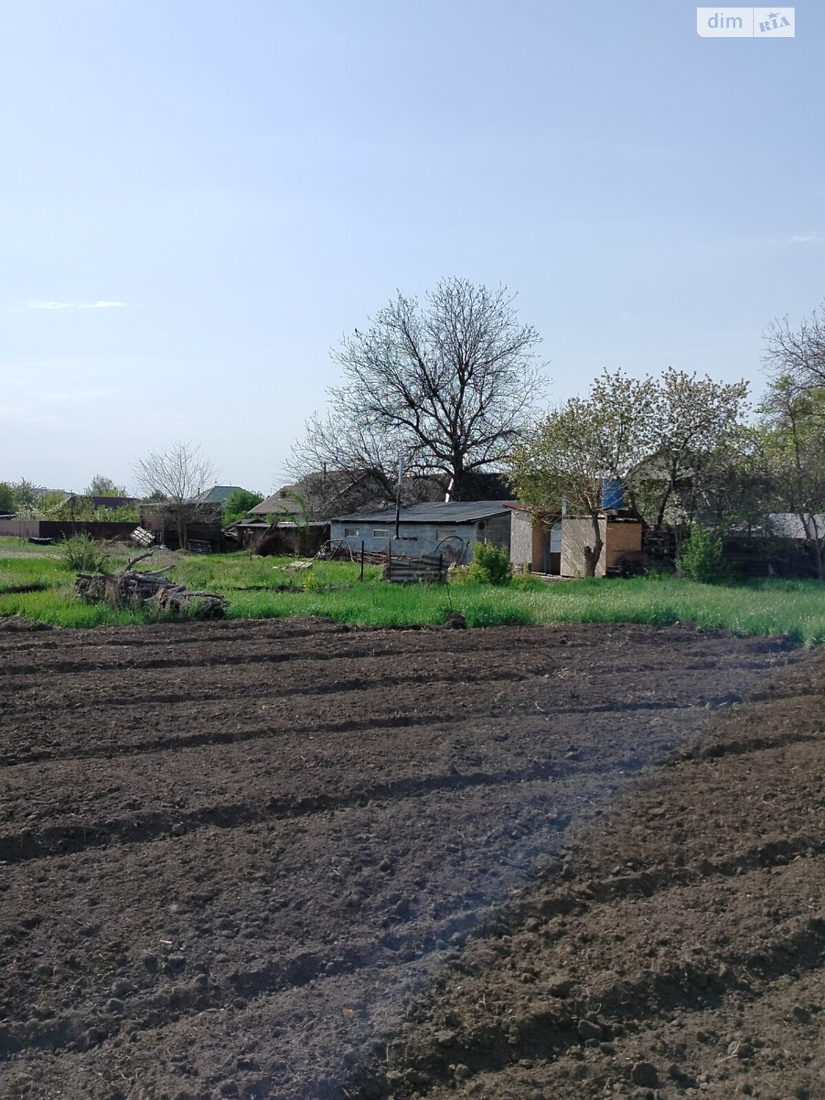 Земельна ділянка під житлову забудову в Новоолександрівці, площа 0.583 Га фото 1 Земельна ділянка під житлову забудову в Новоолександрівці, площа 0.583 Га фото 1