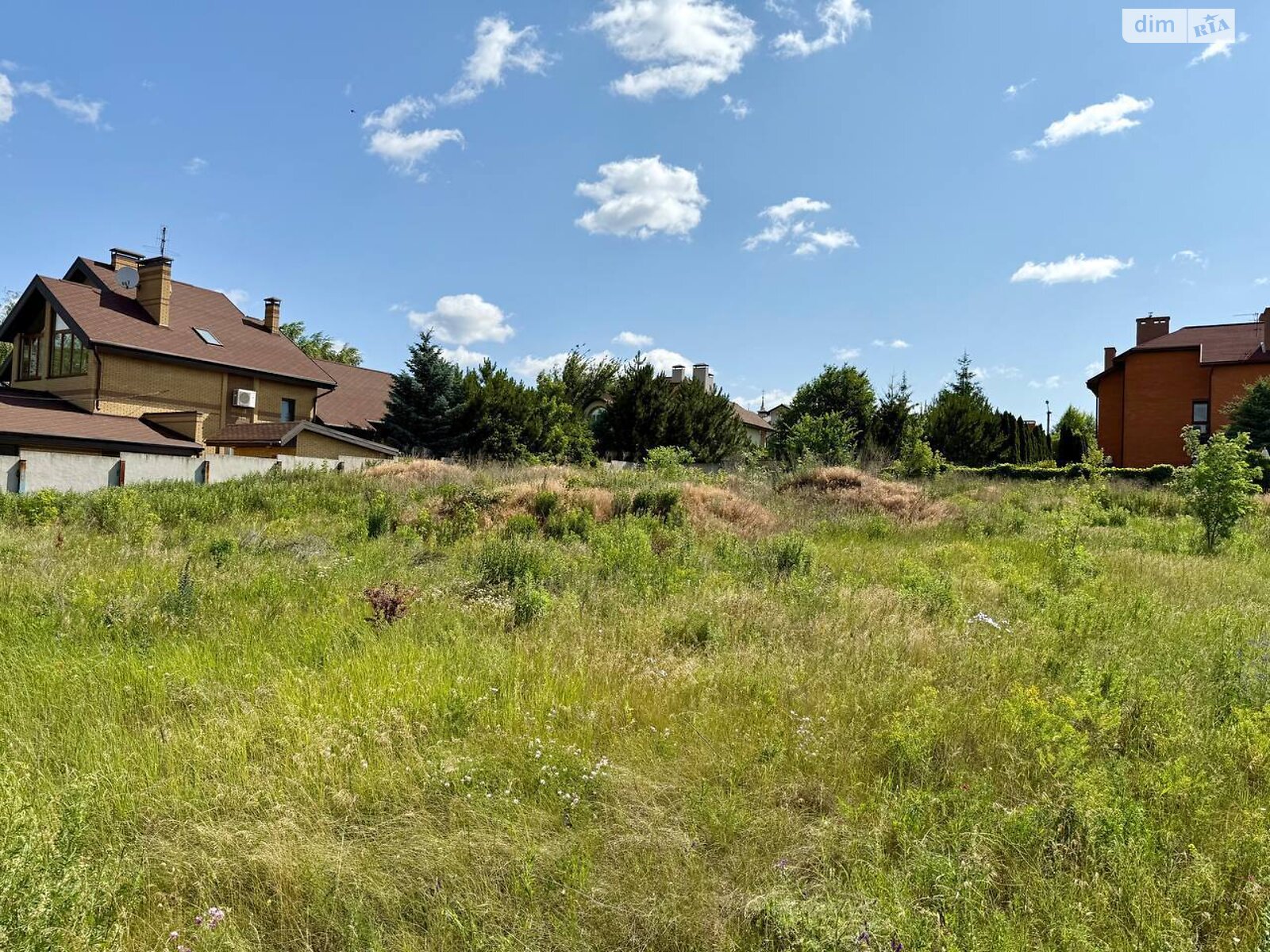Земельна ділянка під житлову забудову в Новоолександрівці, площа 30 соток фото 1 Земельна ділянка під житлову забудову в Новоолександрівці, площа 30 соток фото 1