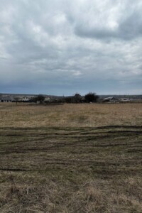 Земельный участок под жилую застройку в Новоалександровке, площадь 15 соток фото 2