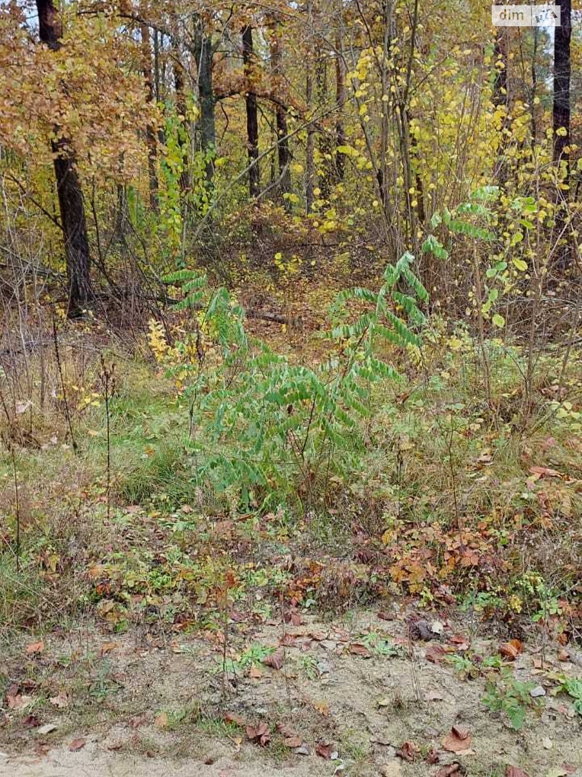 Земельный участок под жилую застройку в Новогуйвинском, площадь 12 соток фото 1