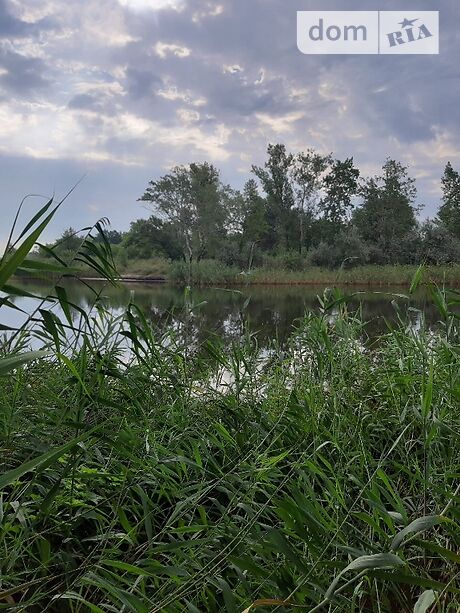 Земля под жилую застройку в Новомосковске, район Новомосковск, площадь 8 соток фото 1 Земля под жилую застройку в Новомосковске, район Новомосковск, площадь 8 соток фото 1