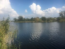 Земля під житлову забудову в Новомосковську, район Новомосковськ, площа 10 соток фото 2