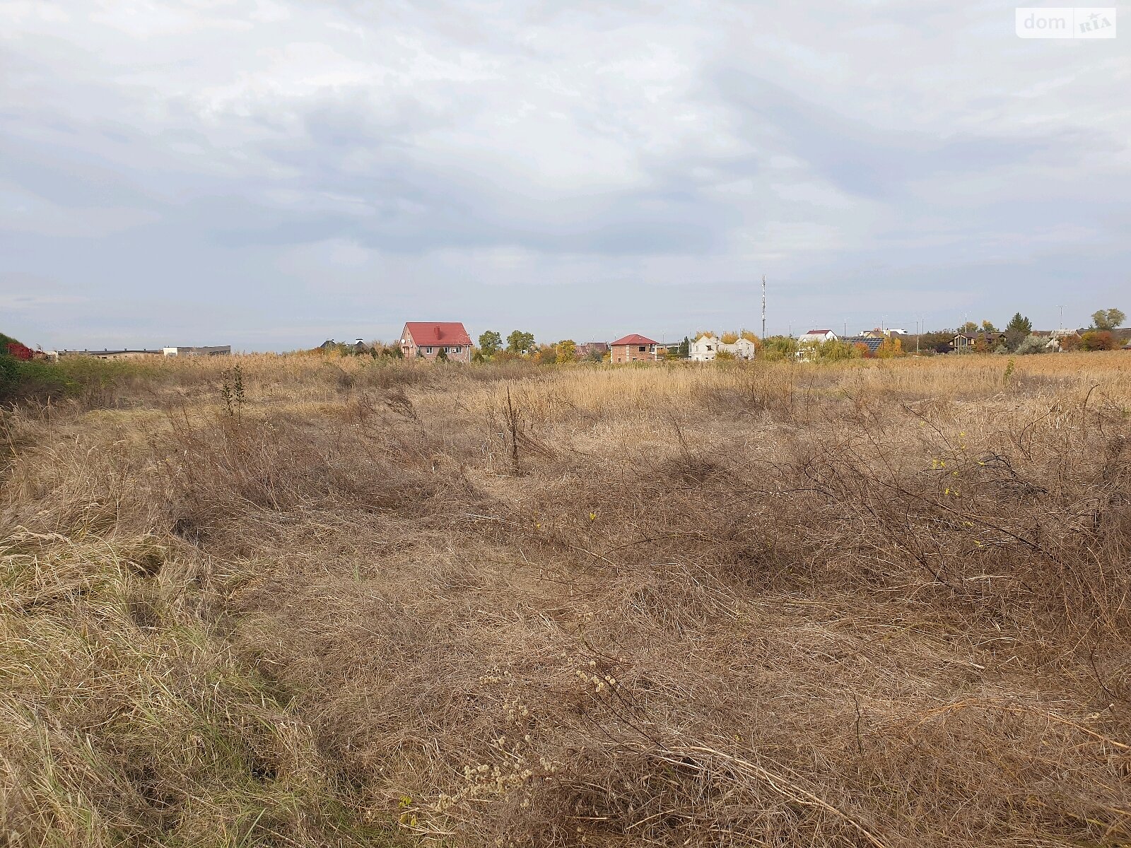 Земельна ділянка під житлову забудову в Новоселівці, площа 36 соток фото 1
