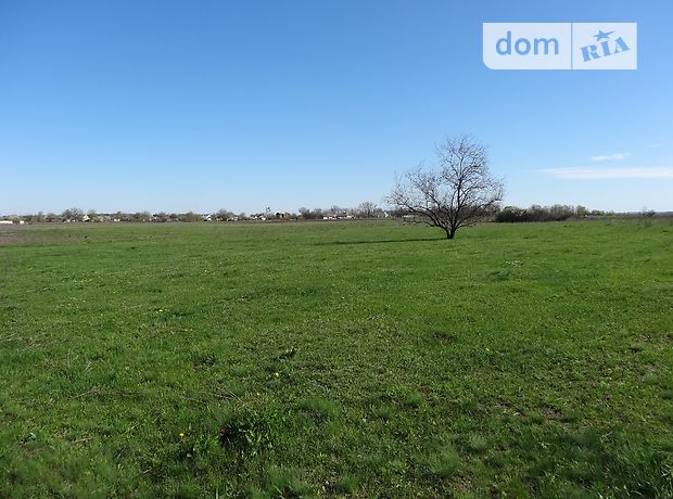 Продажа участка под жилую застройку, Днепропетровская, Новомосковск, c. Орловщина, Садовая улица Продажа участка под жилую застройку, Днепропетровская, Новомосковск, c. Орловщина, Садовая улица