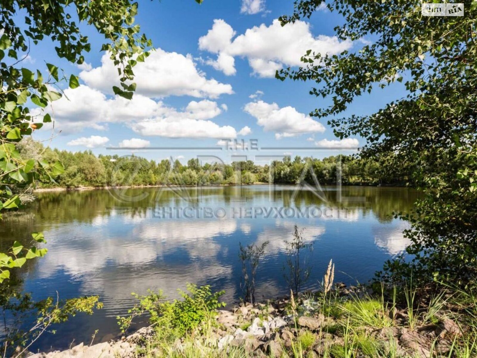 Земельна ділянка під житлову забудову в Новосілках, площа 186 соток фото 1