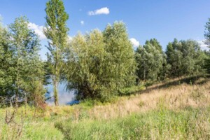 Земельна ділянка під житлову забудову в Новосілках, площа 186 соток фото 2 Земельна ділянка під житлову забудову в Новосілках, площа 186 соток фото 2