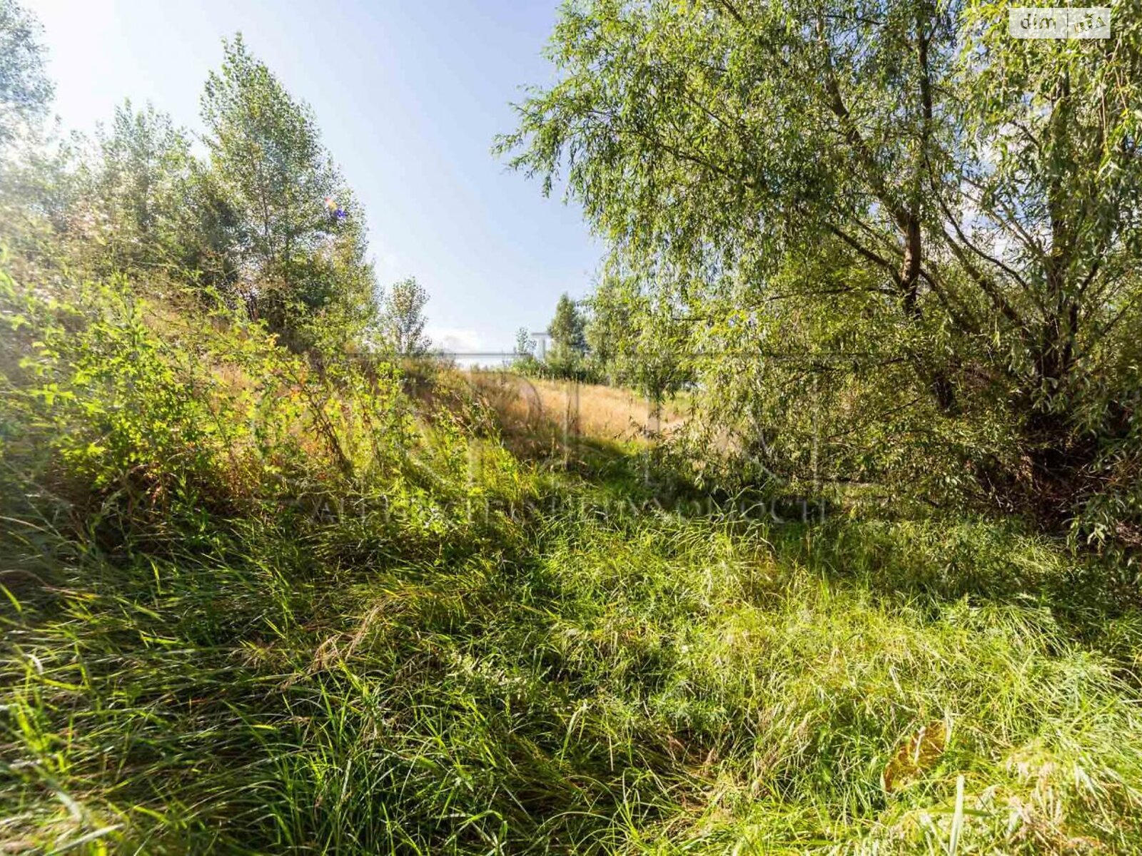 Земельна ділянка під житлову забудову в Новосілках, площа 186 соток фото 1 Земельна ділянка під житлову забудову в Новосілках, площа 186 соток фото 1