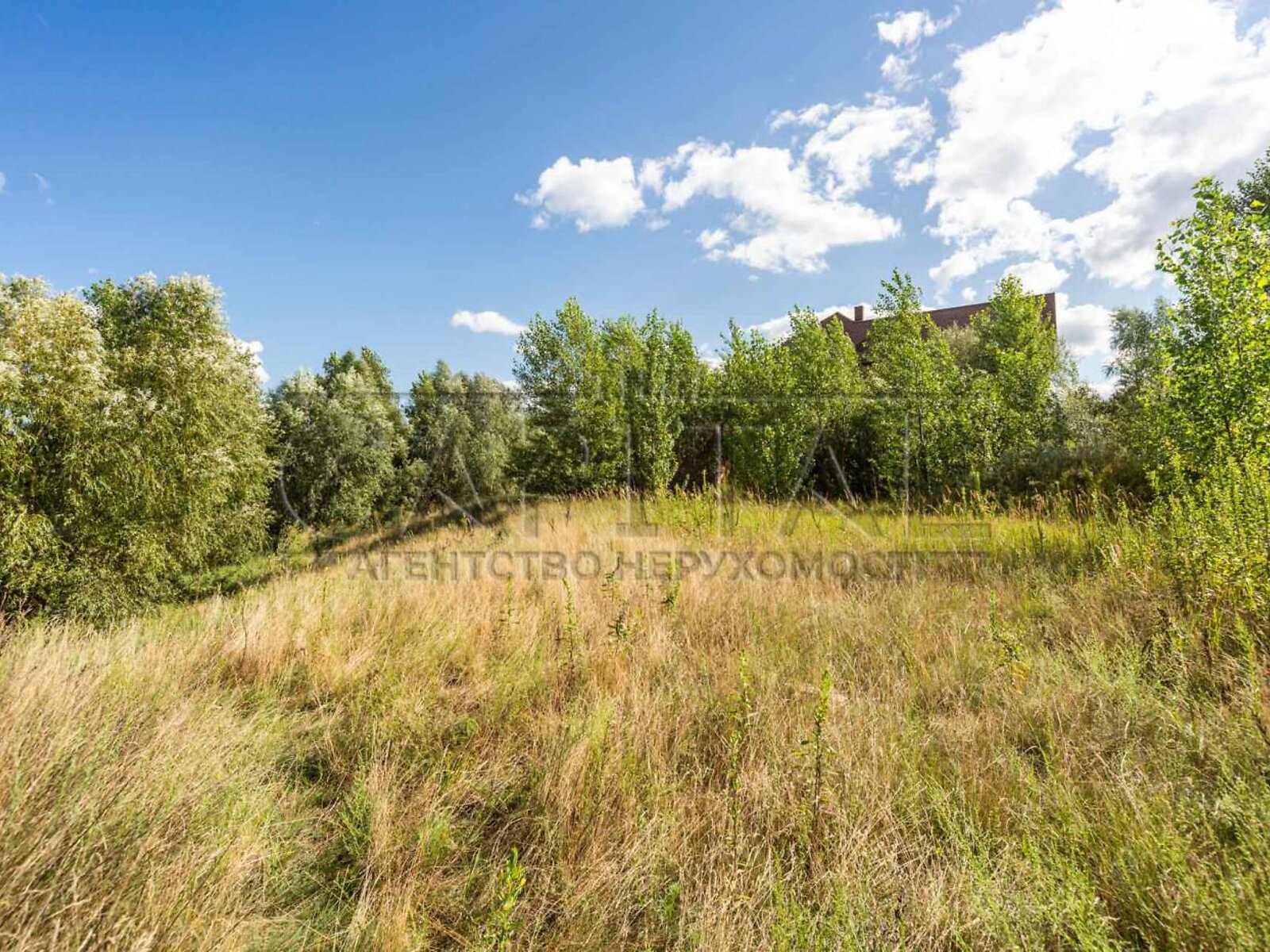 Земельна ділянка під житлову забудову в Новосілках, площа 186 соток фото 1 Земельна ділянка під житлову забудову в Новосілках, площа 186 соток фото 1