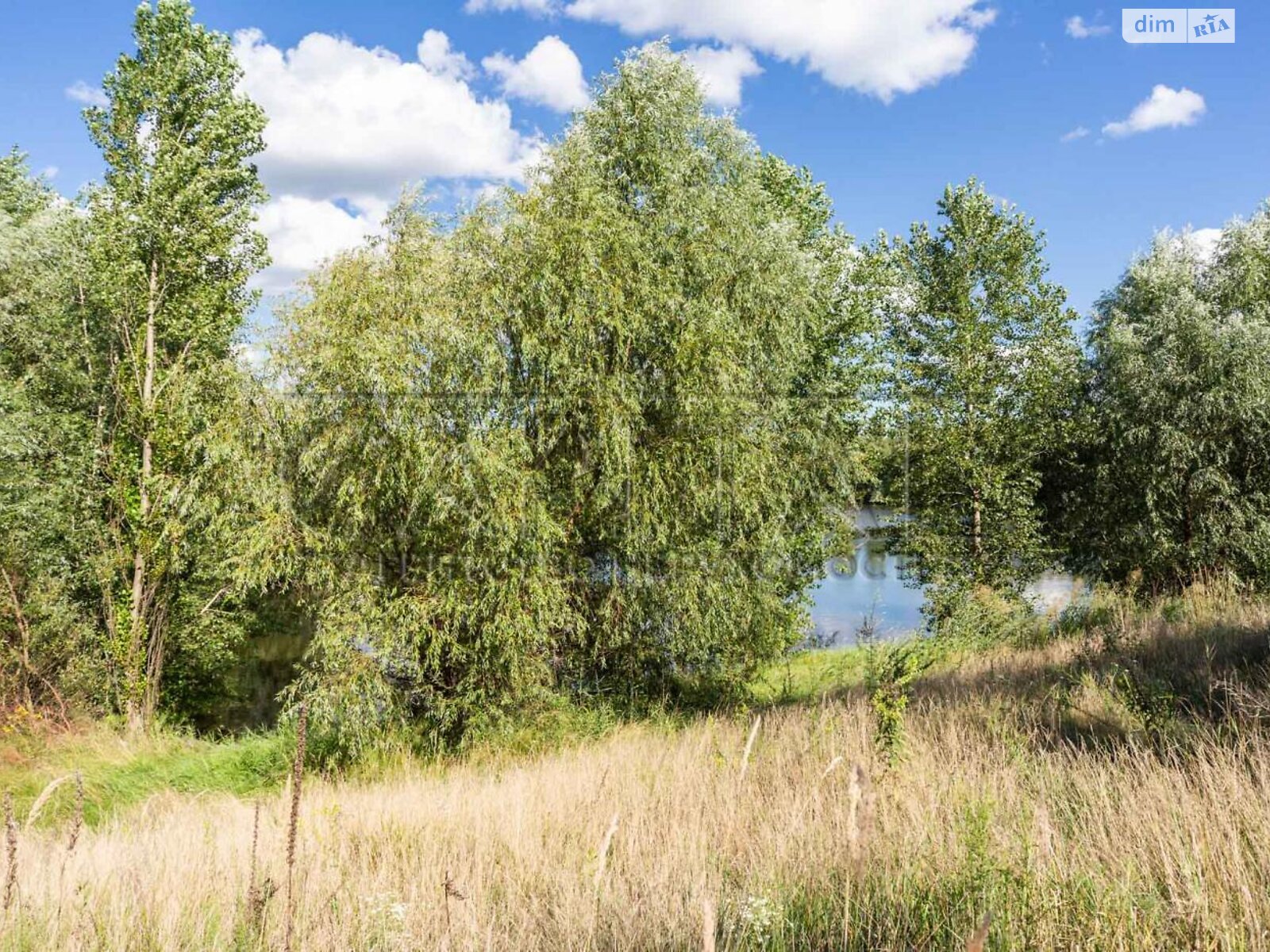 Земельна ділянка під житлову забудову в Новосілках, площа 186 соток фото 1 Земельна ділянка під житлову забудову в Новосілках, площа 186 соток фото 1