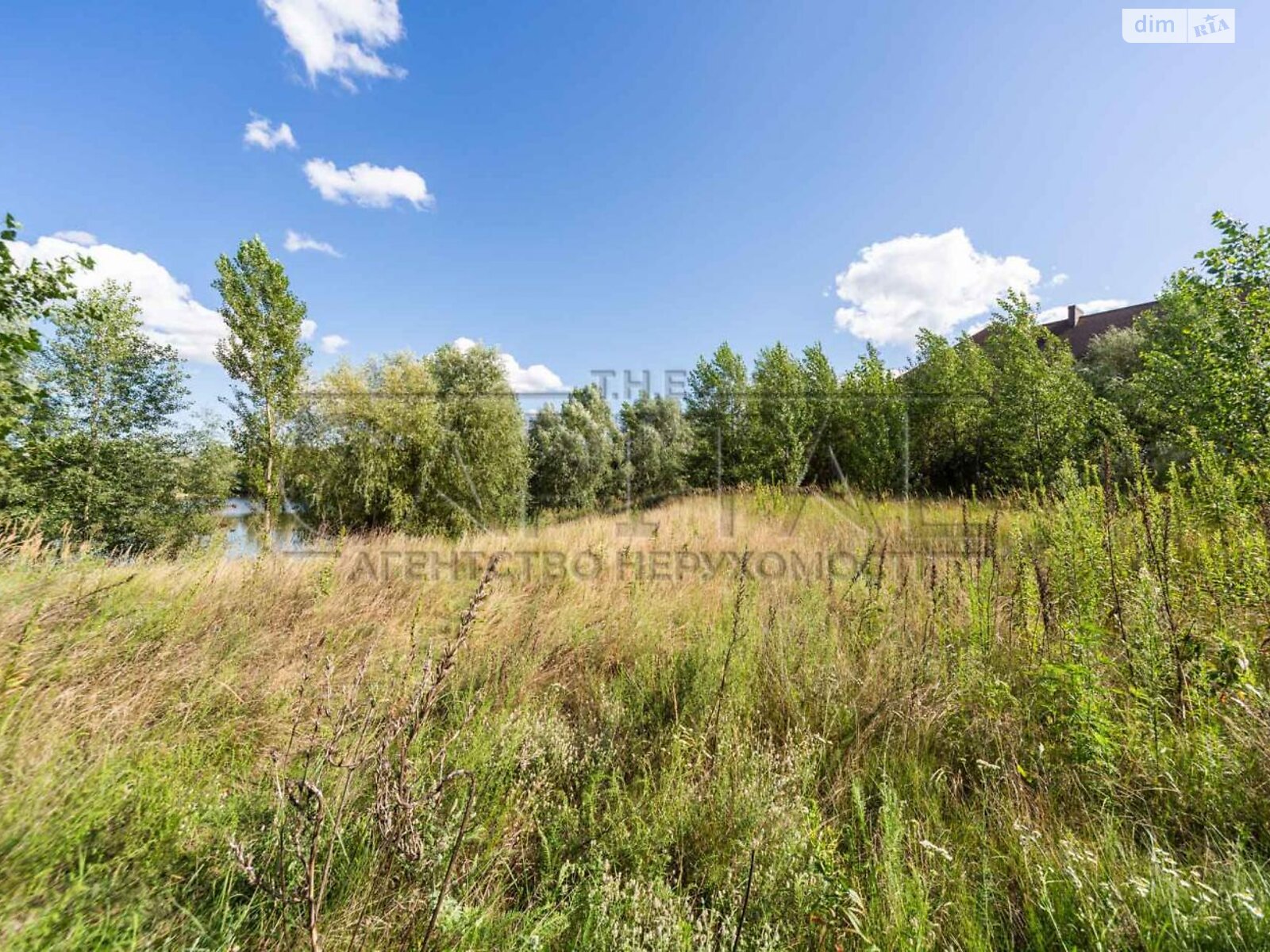 Земельна ділянка під житлову забудову в Новосілках, площа 186 соток фото 1 Земельна ділянка під житлову забудову в Новосілках, площа 186 соток фото 1