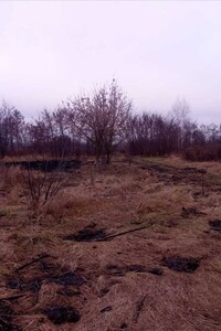 Земельна ділянка під житлову забудову в Новоселівці, площа 15 соток фото 2