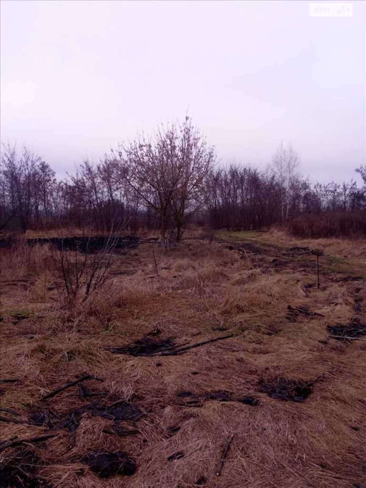Земельна ділянка під житлову забудову в Новоселівці, площа 15 соток фото 1