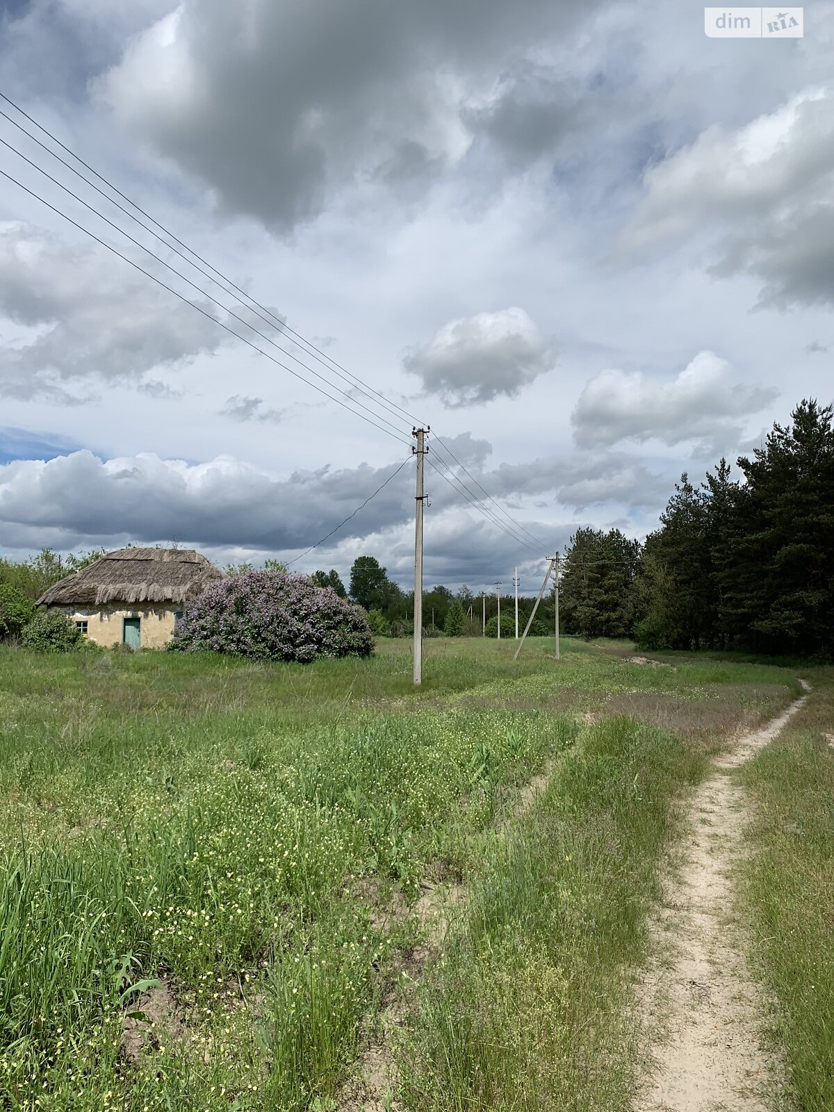 Земельна ділянка під житлову забудову в Новоселівці, площа 164 сотки фото 1