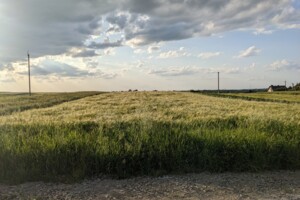 Земельный участок под жилую застройку в Обарове, площадь 14 соток фото 2