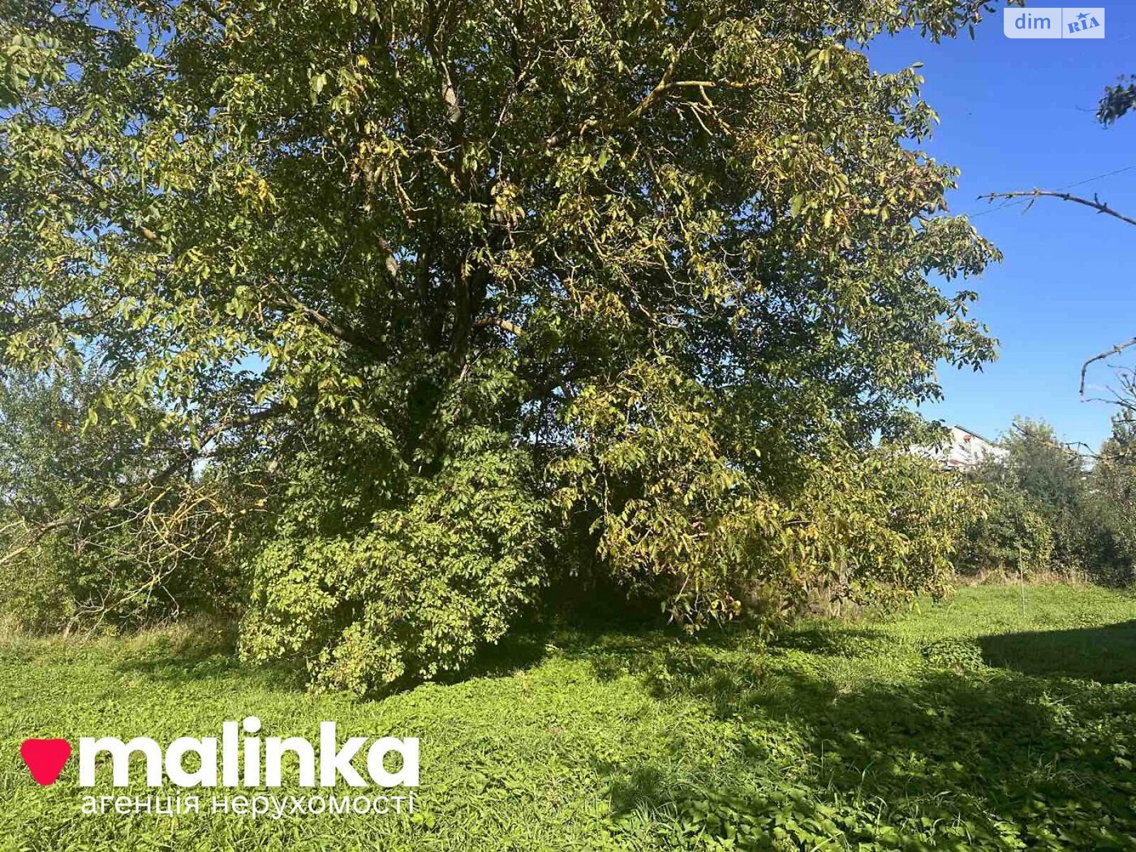 Земельный участок под жилую застройку в Оброшином, площадь 42 сотки фото 1 Земельный участок под жилую застройку в Оброшином, площадь 42 сотки фото 1