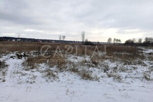Земельна ділянка під житлову забудову в Підгірцях, площа 300 соток фото 2