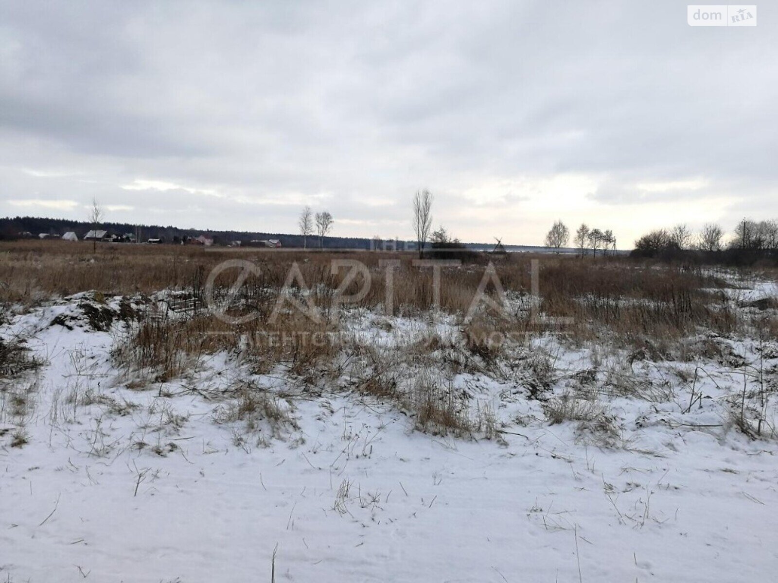 Земельный участок под жилую застройку в Подгорцах, площадь 300 соток фото 1 Земельный участок под жилую застройку в Подгорцах, площадь 300 соток фото 1