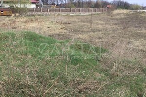 Земельна ділянка під житлову забудову в Романкові, площа 48 соток фото 2