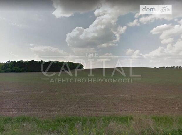 Земля под жилую застройку в селе Старые Безрадичи, площадь 400 соток фото 1 Земля под жилую застройку в селе Старые Безрадичи, площадь 400 соток фото 1