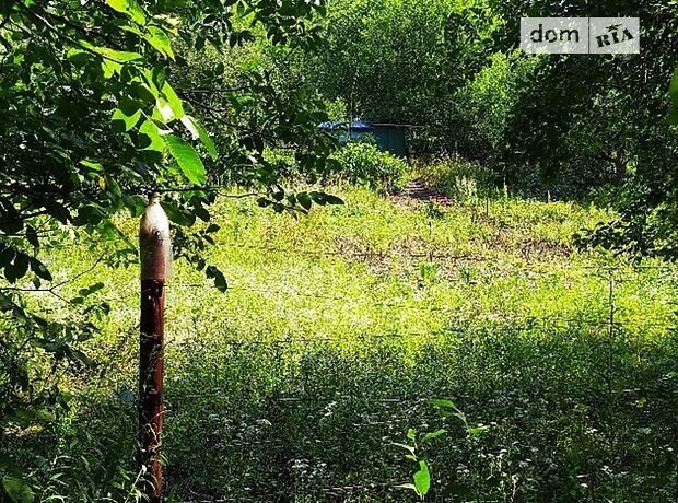 Земля под жилую застройку в селе Старые Безрадичи, площадь 12 соток фото 1 Земля под жилую застройку в селе Старые Безрадичи, площадь 12 соток фото 1