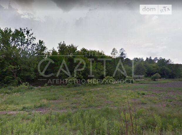Земля под жилую застройку в селе Старые Безрадичи, площадь 300 соток фото 1 Земля под жилую застройку в селе Старые Безрадичи, площадь 300 соток фото 1