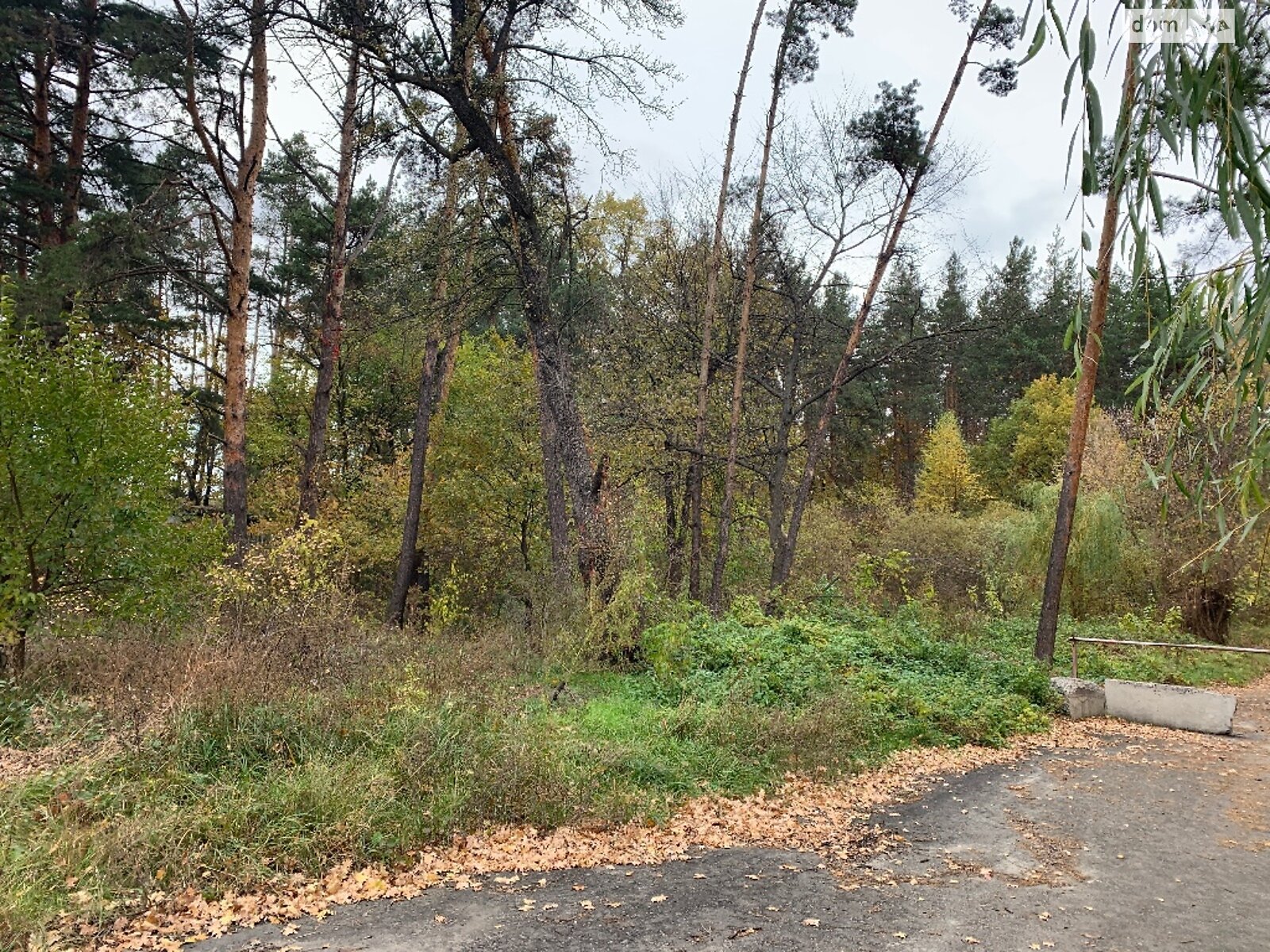 Земельна ділянка під житлову забудову в Таценки, площа 70 соток фото 1