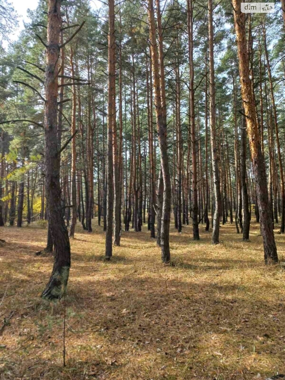 Земельна ділянка під житлову забудову в Обухівці, площа 6 соток фото 1