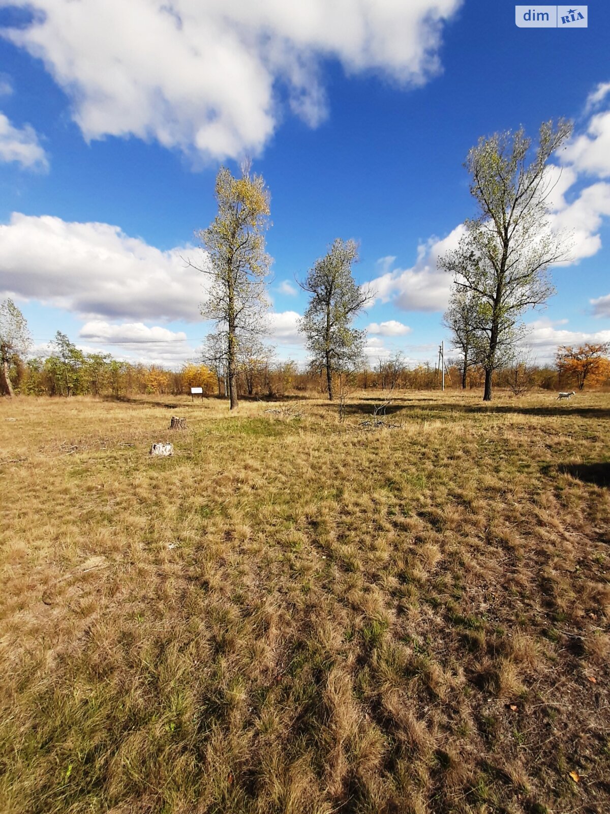 Земельный участок под жилую застройку в Обуховке, площадь 12 соток фото 1 Земельный участок под жилую застройку в Обуховке, площадь 12 соток фото 1