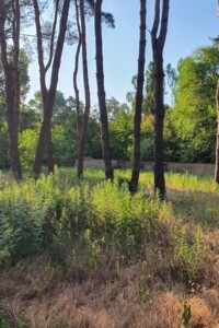 Земельна ділянка під житлову забудову в Обухівці, площа 17.97 сотки фото 2