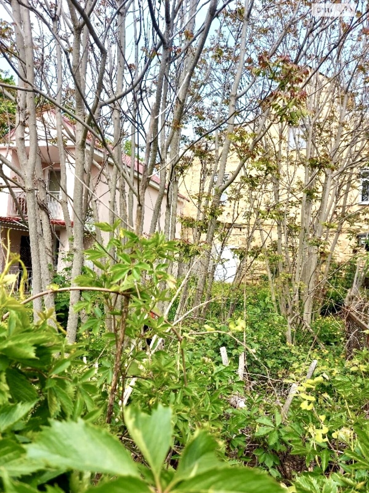 Земля под жилую застройку в Одессе, район Большой Фонтан, площадь 2 сотки фото 1
