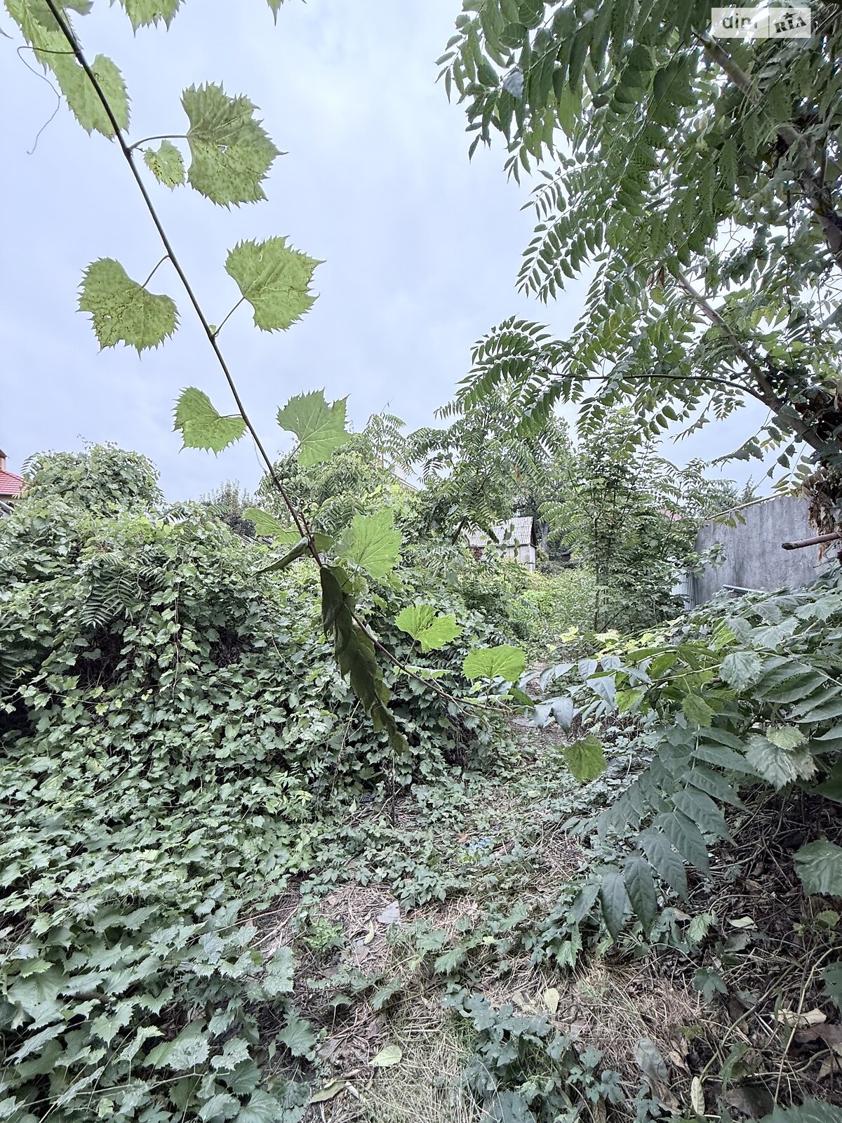 Земля под жилую застройку в Одессе, район Большой Фонтан, площадь 5.3 сотки фото 1 Земля под жилую застройку в Одессе, район Большой Фонтан, площадь 5.3 сотки фото 1