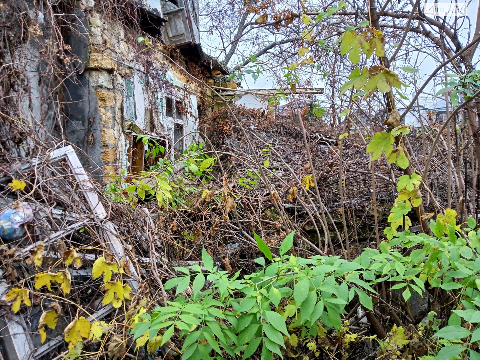 Земля под жилую застройку в Одессе, район Чубаевка, площадь 6 соток фото 1