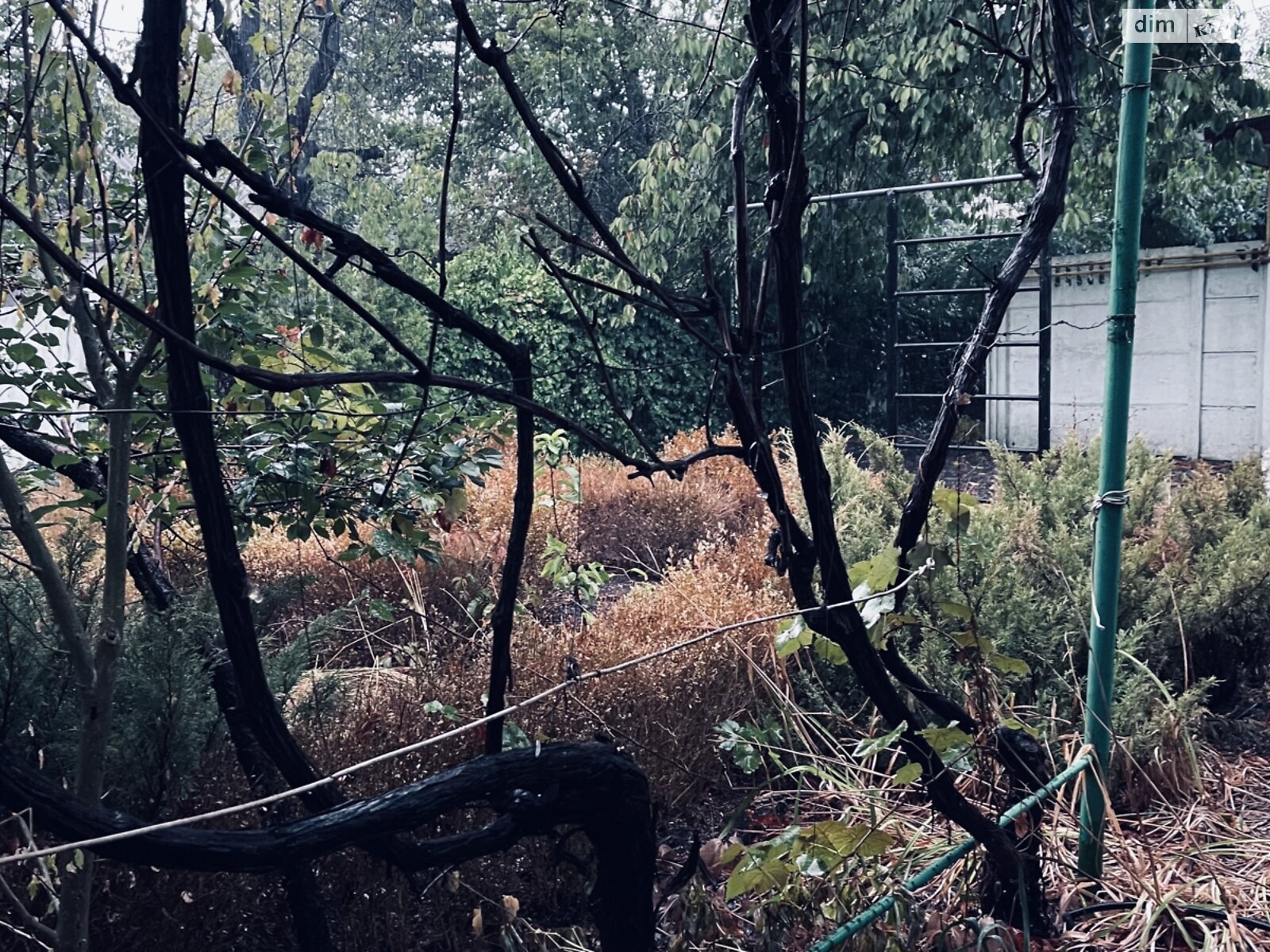 Земельный участок под жилую застройку в Одессе, площадь 5 соток фото 1