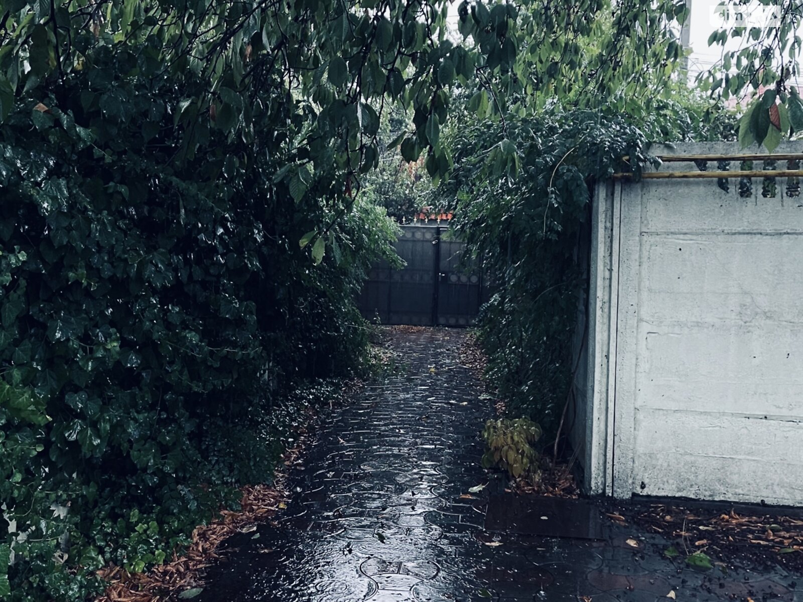 Земельный участок под жилую застройку в Одессе, площадь 5 соток фото 1