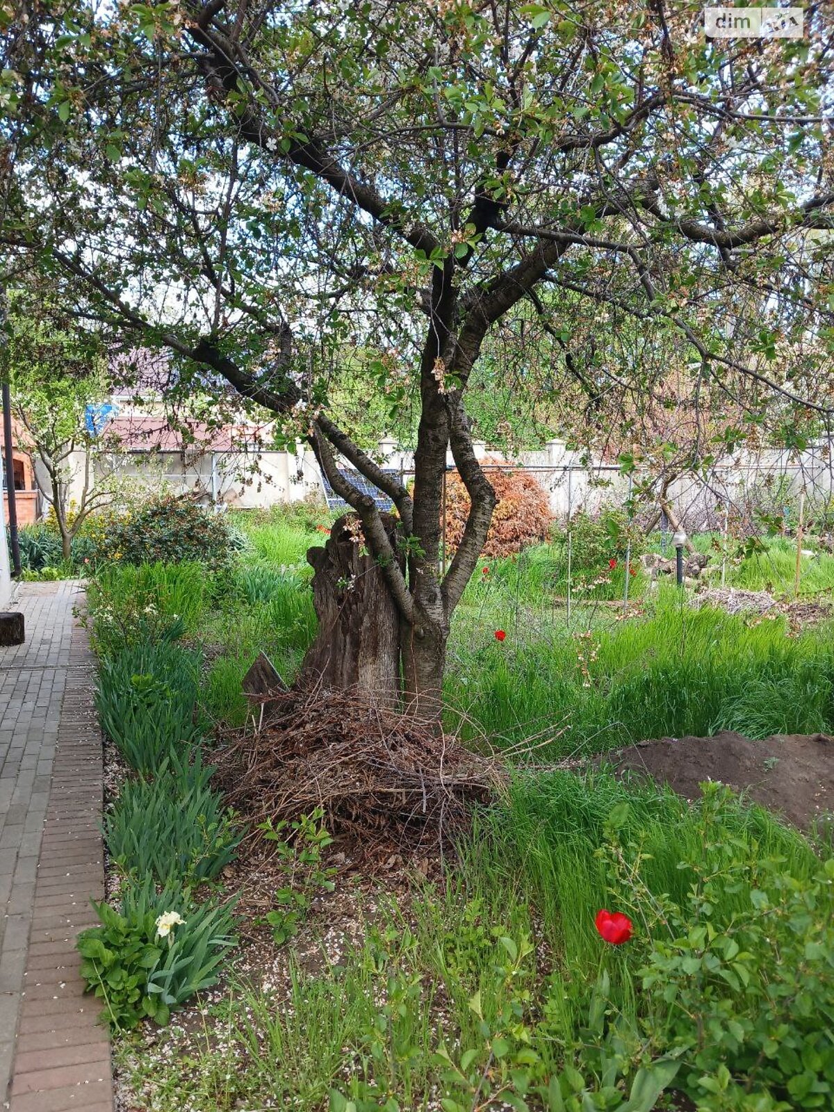 Земля под жилую застройку в Одессе, район Киевский, площадь 4 сотки фото 1