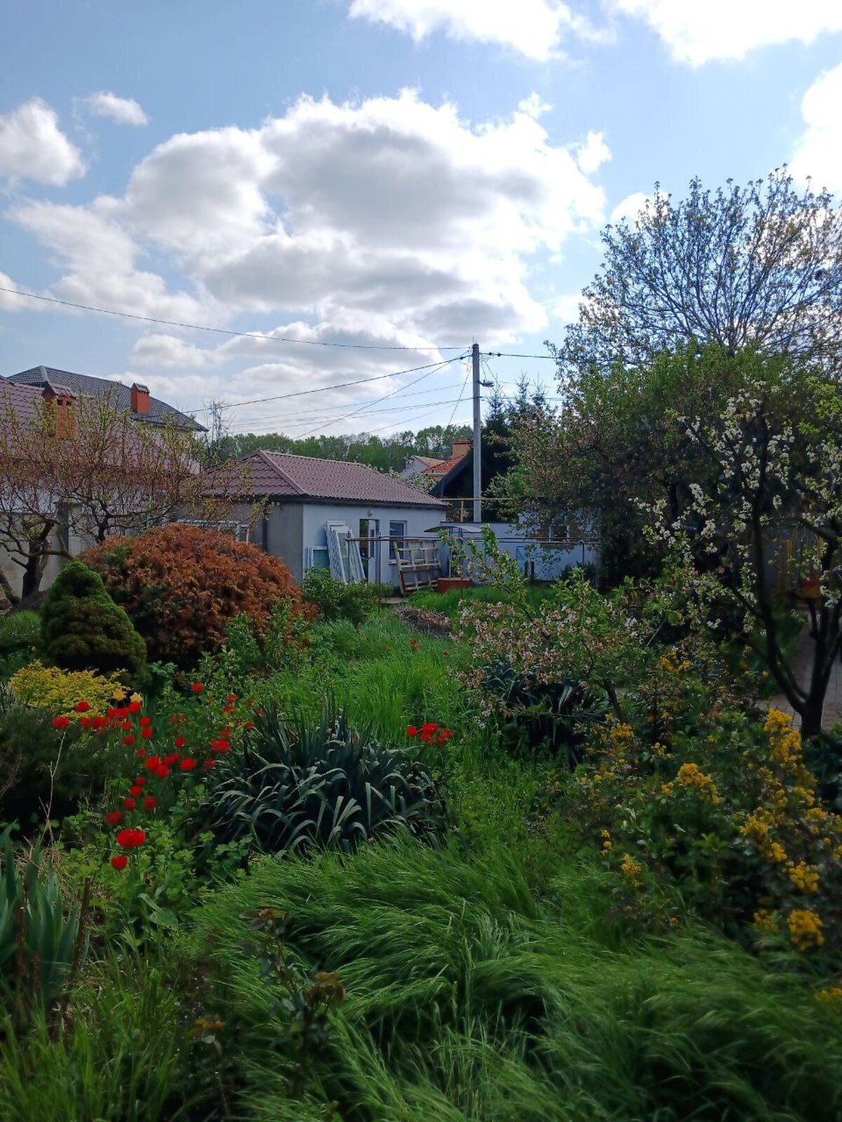 Земля под жилую застройку в Одессе, район Киевский, площадь 4 сотки фото 1