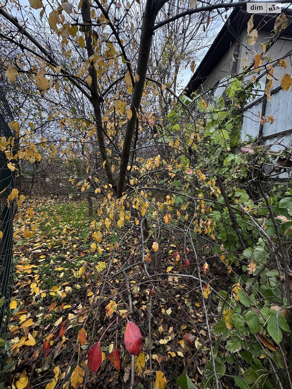 Земля под жилую застройку в Одессе, район Киевский, площадь 6 соток фото 1